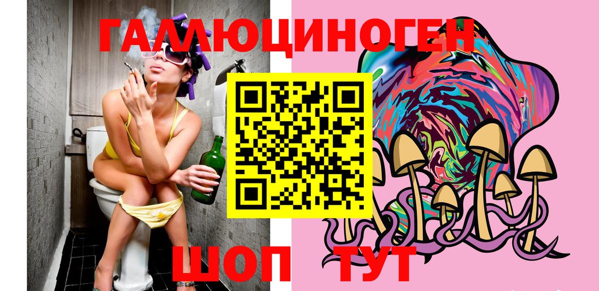 Псилоцибиновые грибы Cubensis Ленинск-Кузнецкий